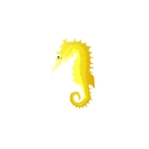 Spiny Seahorse